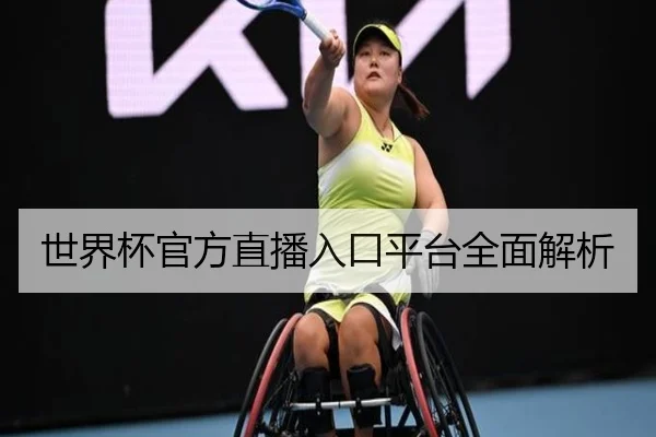 世界杯官方直播入口平台全面解析