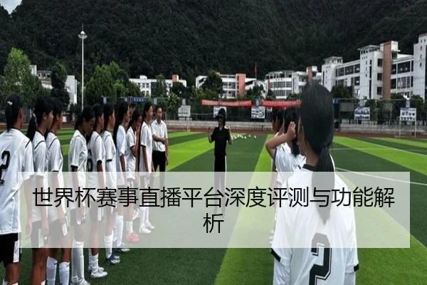 世界杯赛事直播平台深度评测与功能解析