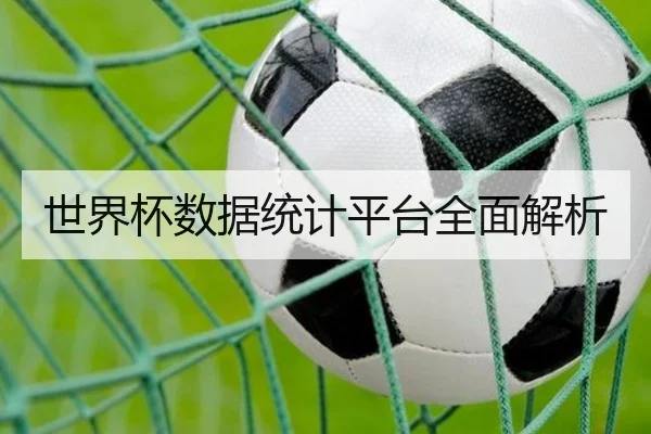 世界杯数据统计平台全面解析