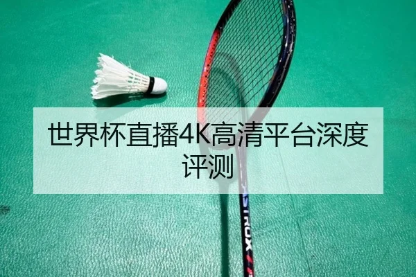 世界杯直播4K高清平台深度评测