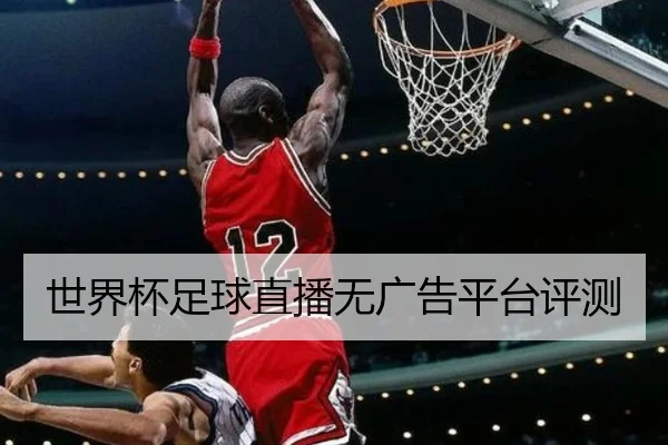 世界杯足球直播无广告平台评测