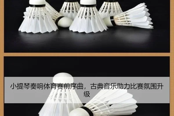 小提琴奏响体育赛前序曲，古典音乐助力比赛氛围升级