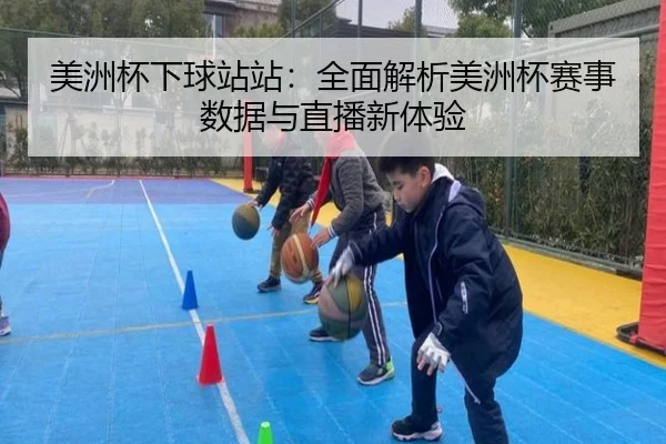 美洲杯下球站站：全面解析美洲杯赛事数据与直播新体验